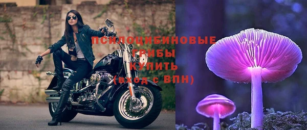 трава Абинск
